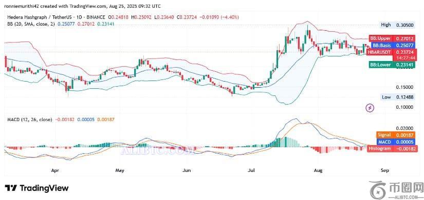 HBAR价格有望突破0.30美元：分析师预测2025年将出现大幅上涨