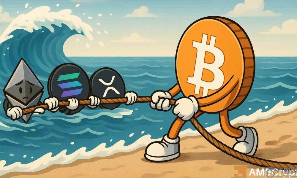 为什么加密货币市场今天上涨？比特币、美国劳动节等等