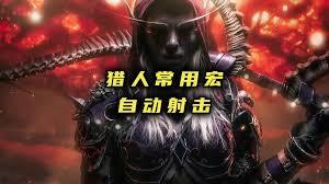 魔兽世界11.1射击猎pve宏怎么设置