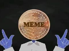 模因币龙头币有哪些 模因币怎么购买