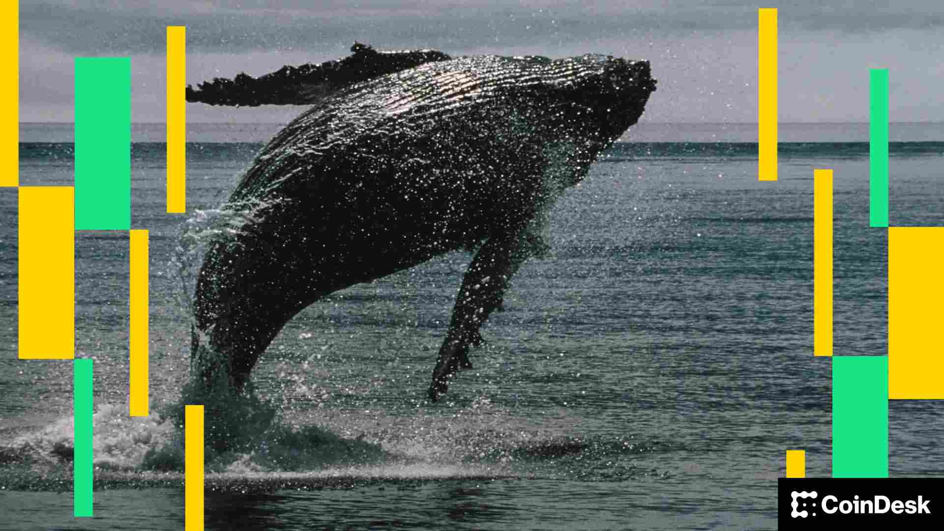 比特币未能守住 11.6 万美元关口，因为 OG 转向以太币：Crypto Daybook Americas