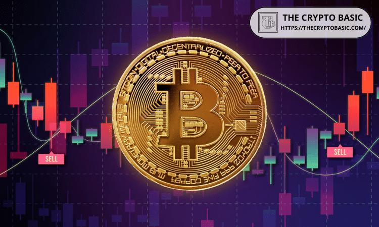 塞勒告诫比特币投资者“不要喂熊”