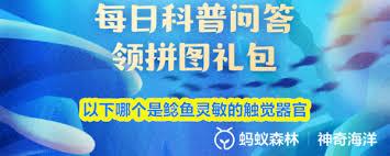 鲶鱼灵敏的触觉器官是什么