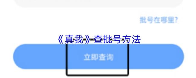 真我 查批号方法