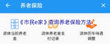 市民e家app如何查养老保险明细