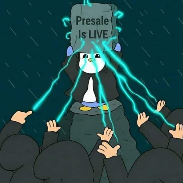 SUI牛市希望破灭，但这项高潜力加密货币预售项目或能弥补投资者的损失。