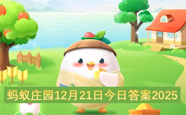 三角洲行动2025年12月20日今日摩斯密码分享